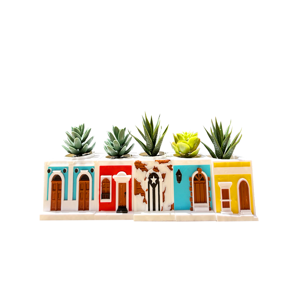 Set Completo de Tiestos Casitas