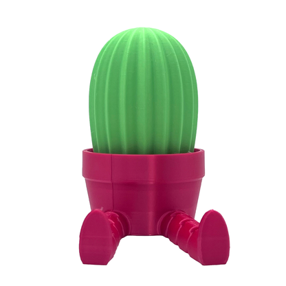 3D Print Cactus with Flexy Legs