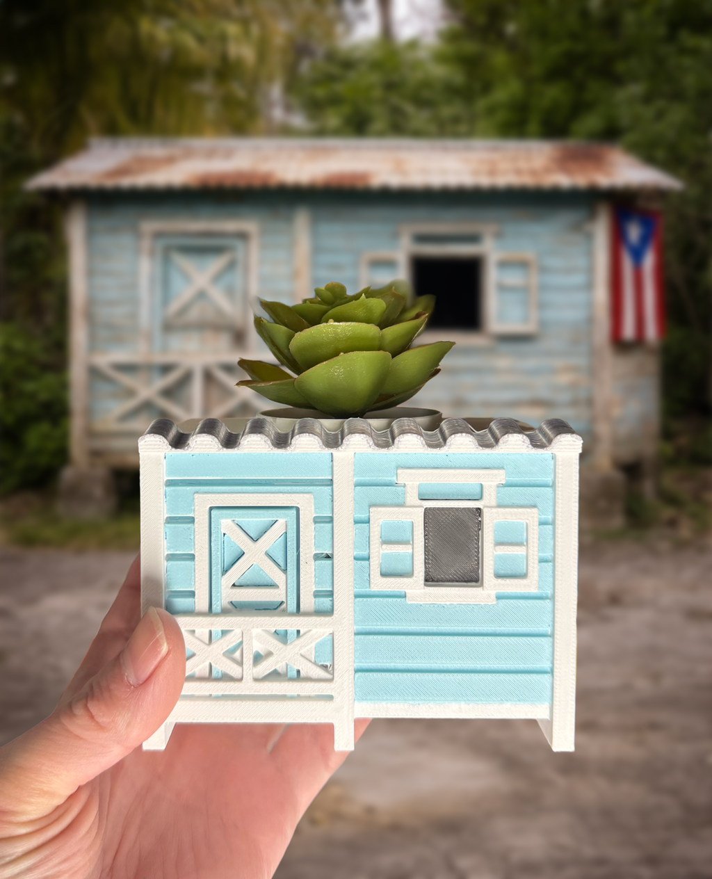 Tiesto Casita Típica