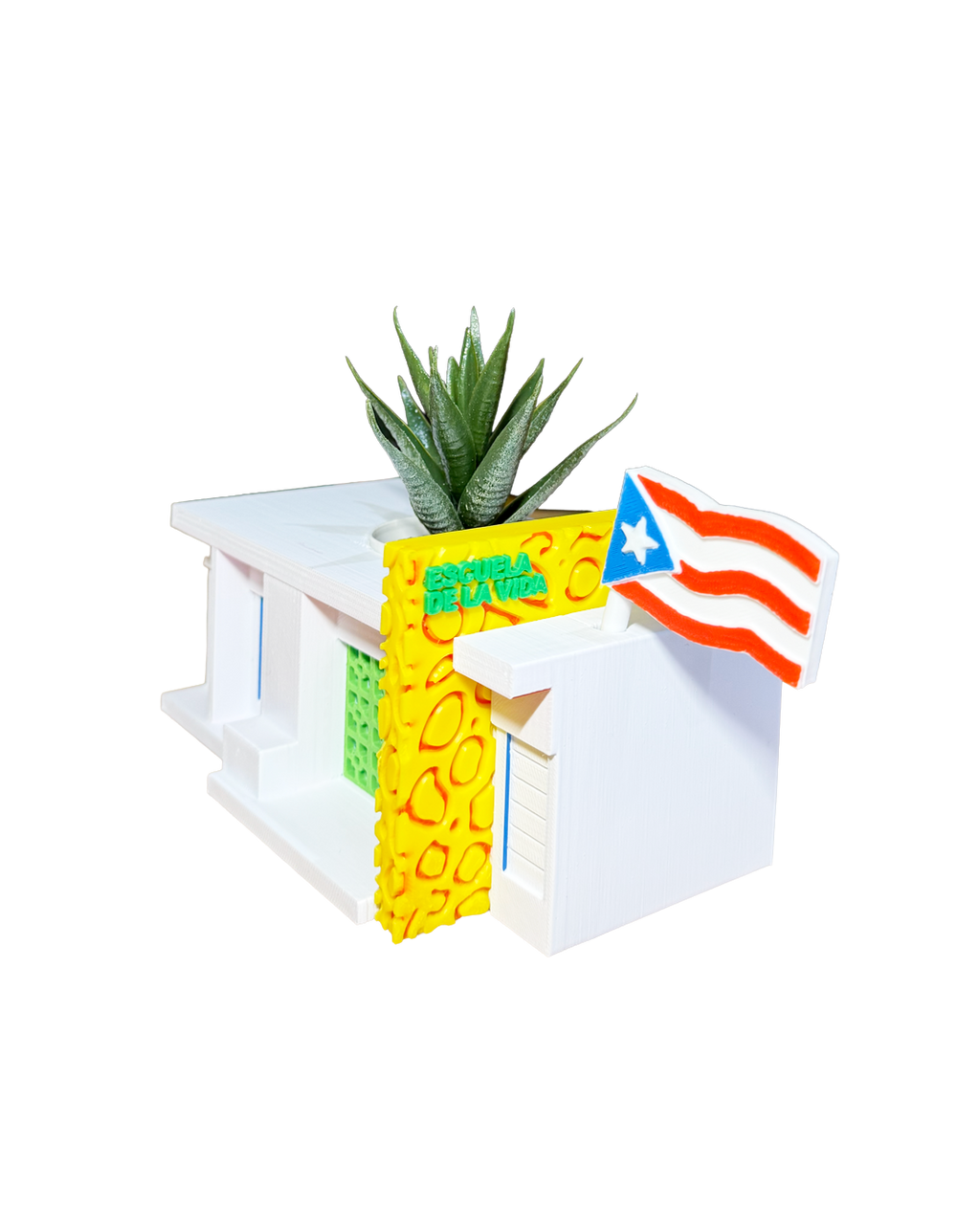 PRE ORDEN: Tiesto Escuela Pública (Notas Escolares)