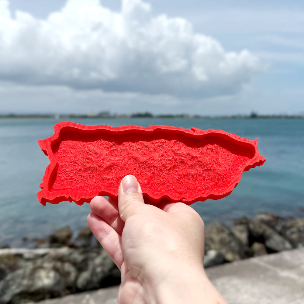 3D Print PR Map Tray
